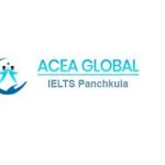 IELTS Panchkula Profile Picture