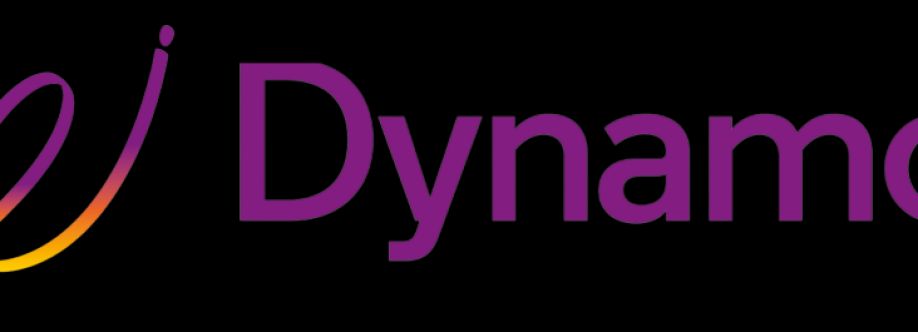 Dynamo InfoTech Cover Image