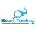 smarttowkay Profile Picture