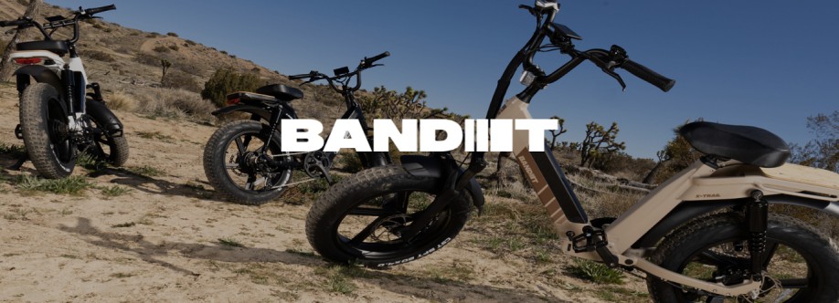 Bandit Bike Cover Image