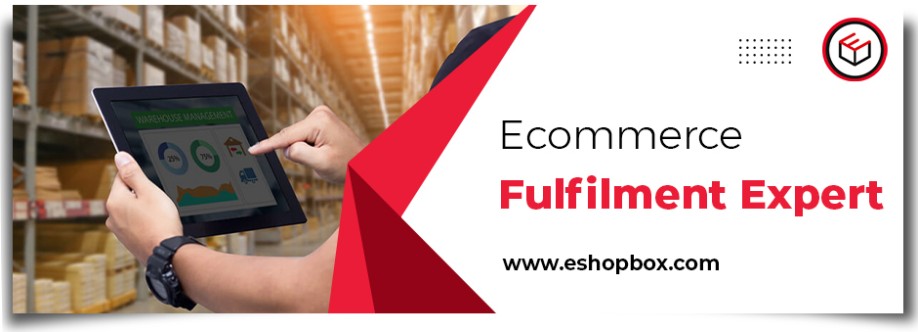 Eshopbox Ecommerce Pvt Ltd Cover Image