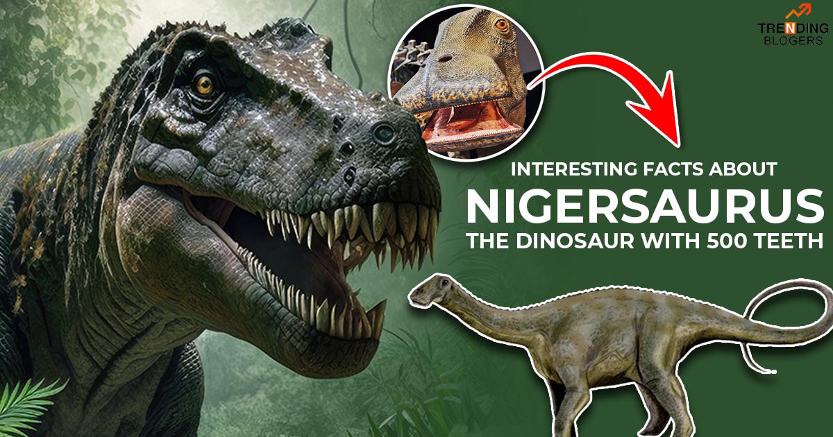 Interesting Facts About Nigersaurus: Dinosaur With 500 Teeth