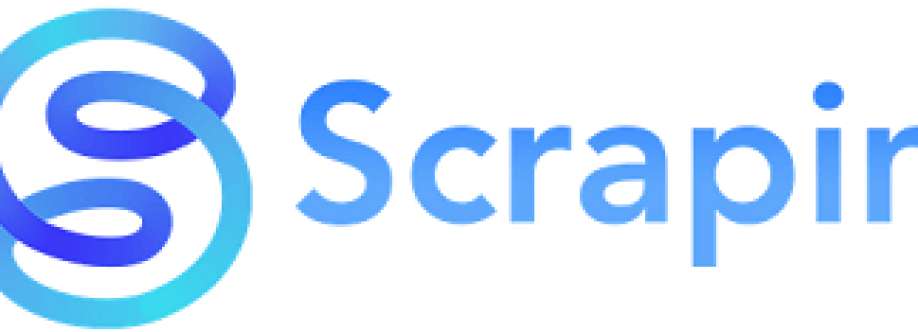 Scrap In Cover Image