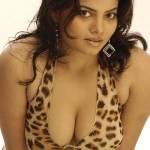 Guwahati Escorts Profile Picture