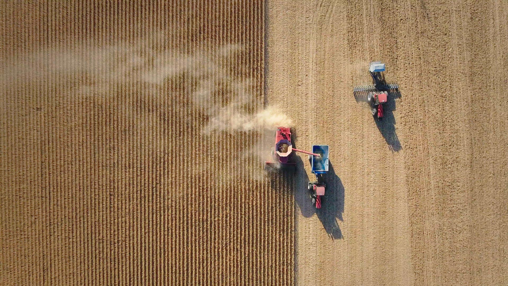 The making of “Food Inc. 2” (2024): Unveiling the next chapter in the Food Revolution – More Movie Details