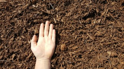 Brown Colored Mulch - 83 Landscape Supply