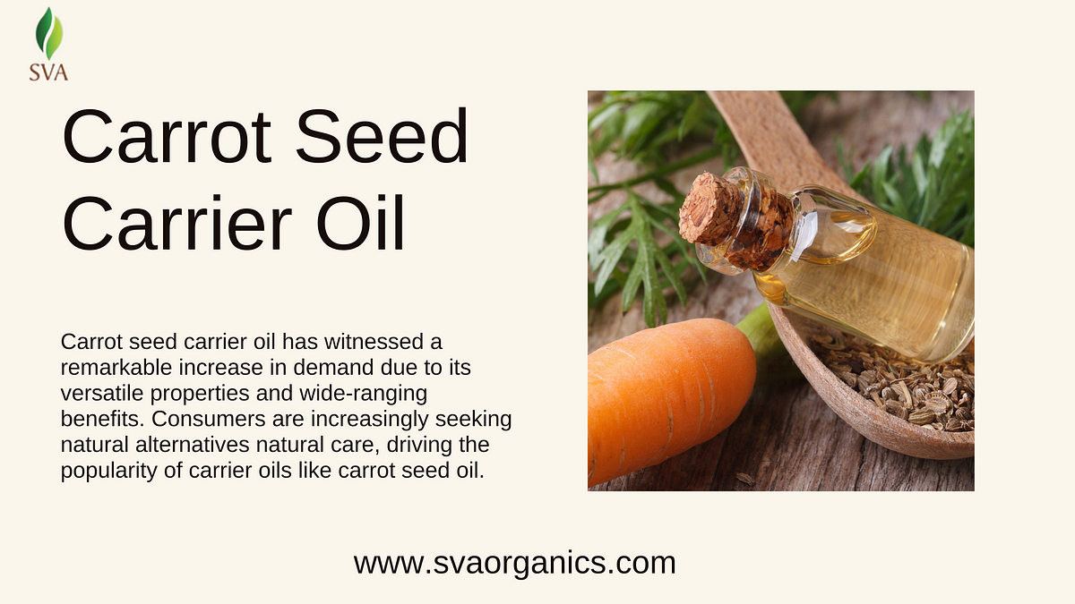 Meet the Demand: Capitalize on the Growing Trend of Carrot Seed Carrier Oil Wholesale Supply | by svaorganics | Apr, 2024 | Medium