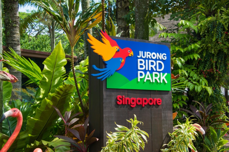 Singapore Tour Packages for family | seasonz india holidays