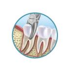 Troyhoover Dentist Profile Picture