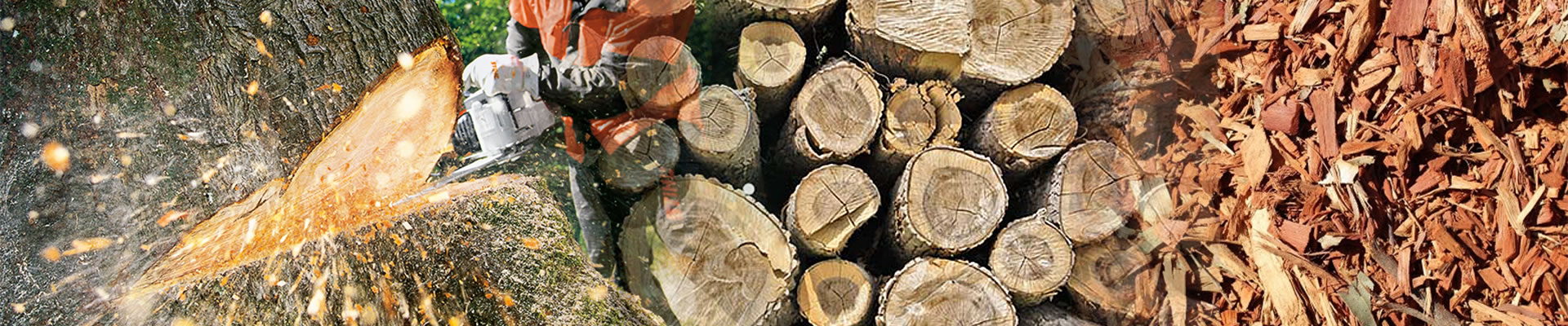 Commercial Bulk Forest Mulch Brisbane | Dynamic Tree Solutions