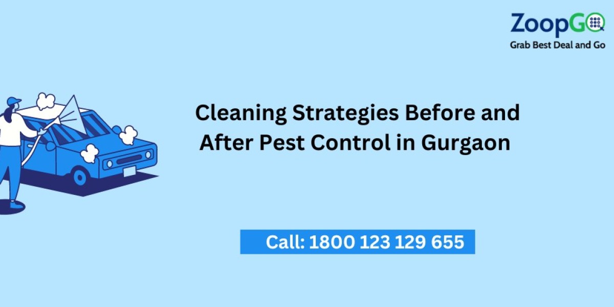 Cleaning Strategies Before and After Pest Control in Gurgaon