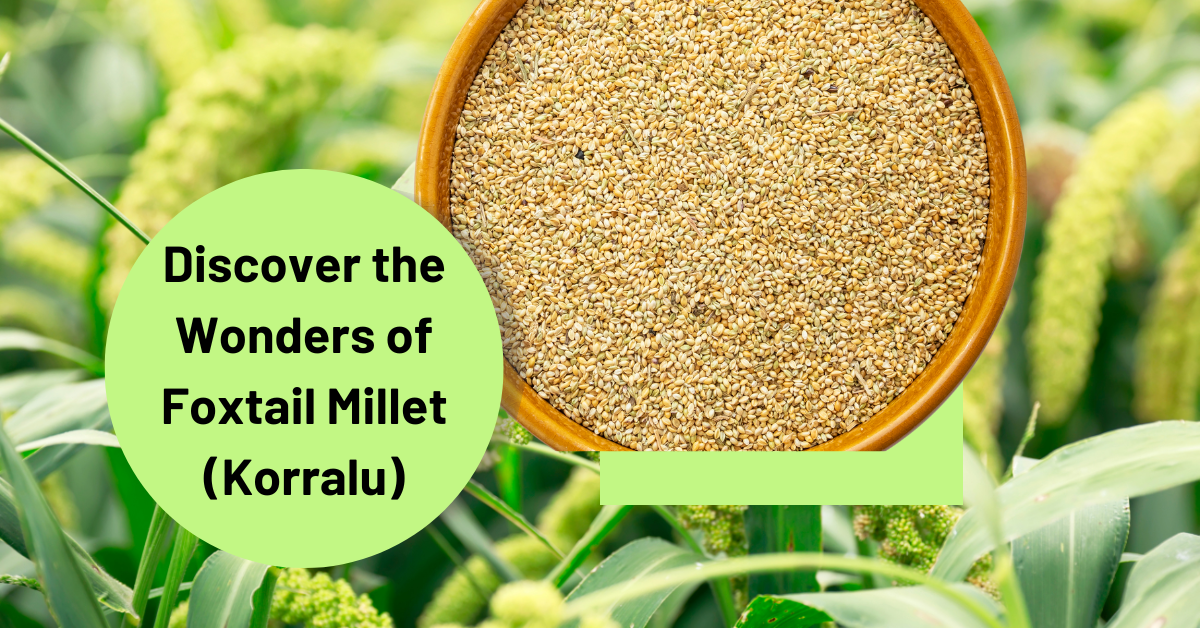 Discover the Wonders of Foxtail Millet (Korralu) | Basic Browns — BasicBrowns