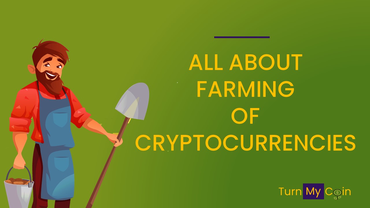 8 FAQs on Yield Farming of Cryptocurrencies for beginners [Best ones to invest in]