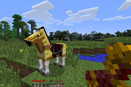 How to Tame a Horse in Minecraft: A Comprehensive Guide - Blog View - SESolutions Demo