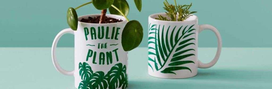 Robert Jr Ford Cover Image