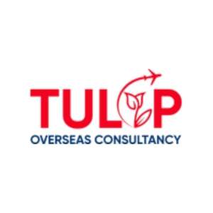 Tulip overseas Profile Picture