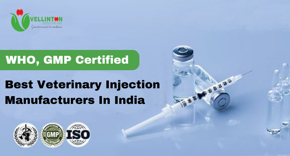 Top Veterinary Injection Manufacturers In India - Vellinton Healthcare