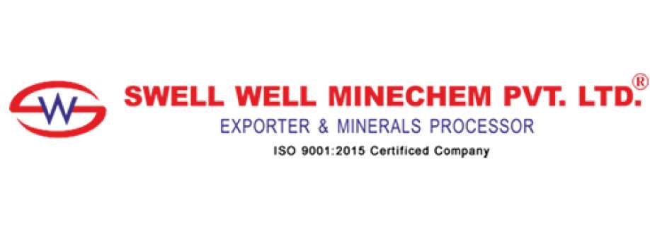 Swell Well Minechem Cover Image