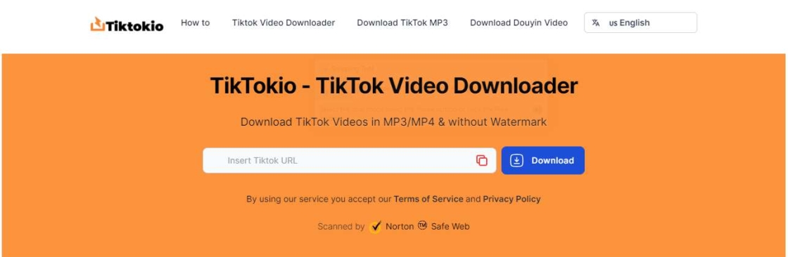 Download TikTok Videos Cover Image