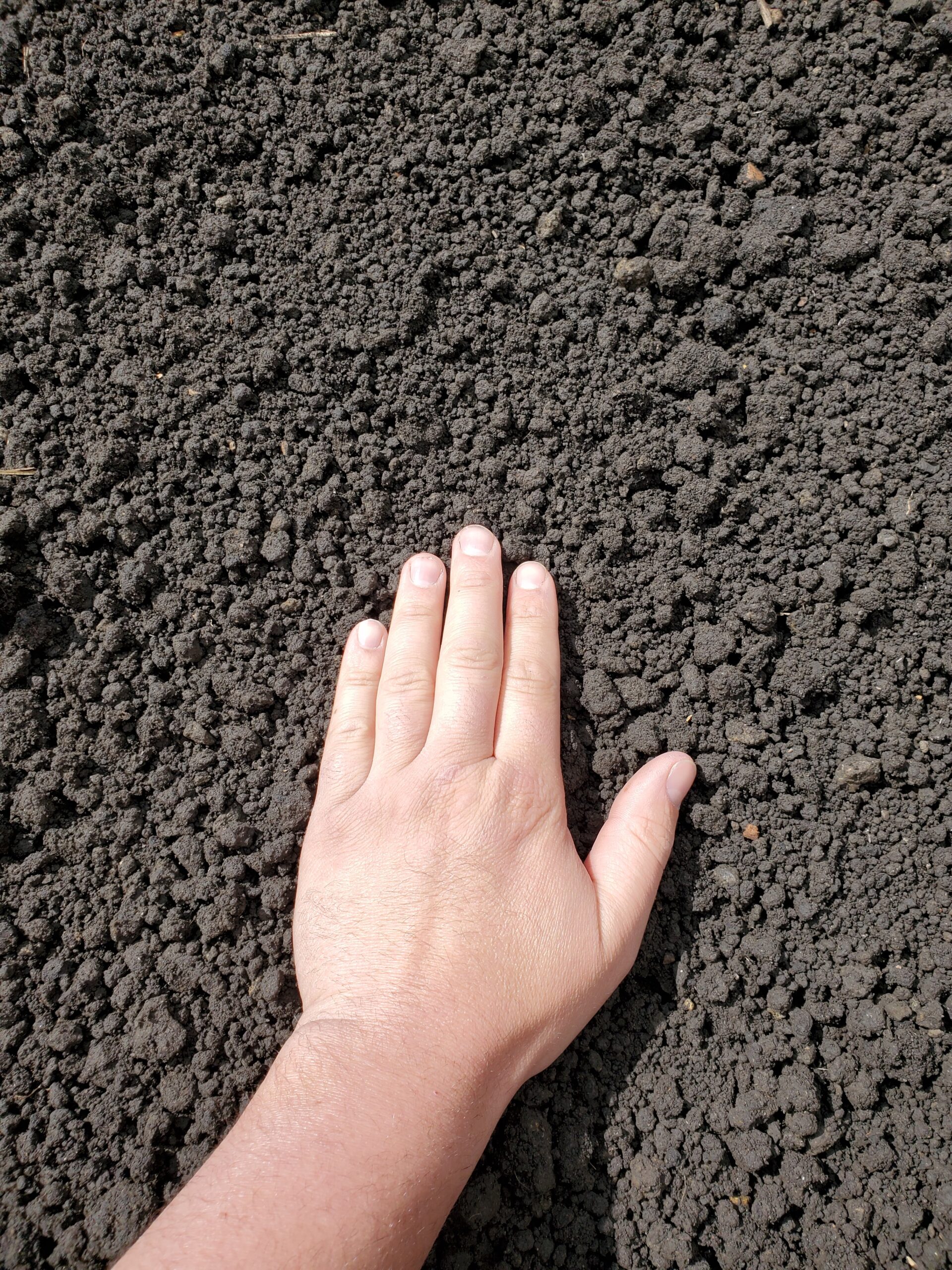 Get The Perfect Garden With Topsoil From 83 Landscape Supply