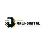 Raw Digital l DIGITAL MARKETING COMPANY IN JAIPUR profile picture