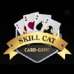 skillcat game profile picture