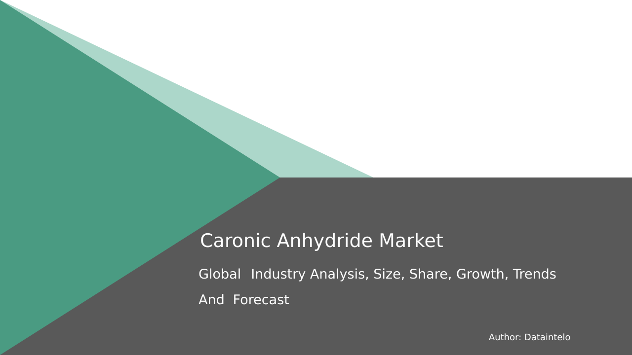 Caronic Anhydride Market Research Report 2032