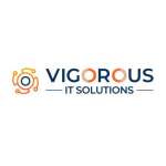 Vigorous IT Solutions profile picture