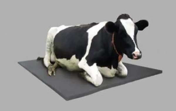 Maintaining Your Cow Milking Parlor Mats Effectively