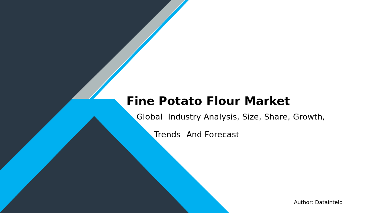 Fine Potato Flour Market Research Report 2032