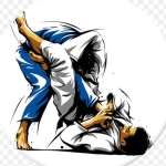 Bjj Expert Profile Picture