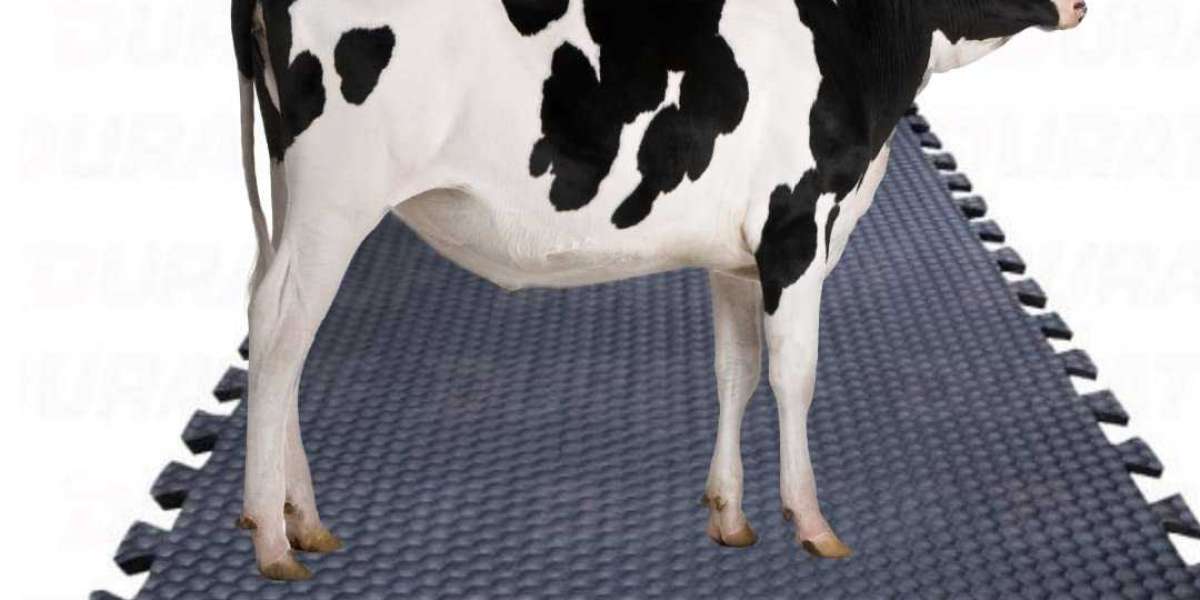 How to Evaluate the Durability of Cow Milking Parlor Mats