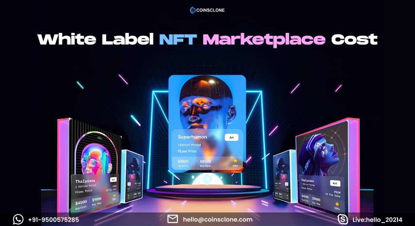 Cost of White Label NFT Marketplace : A Detailed Analysis for Startups