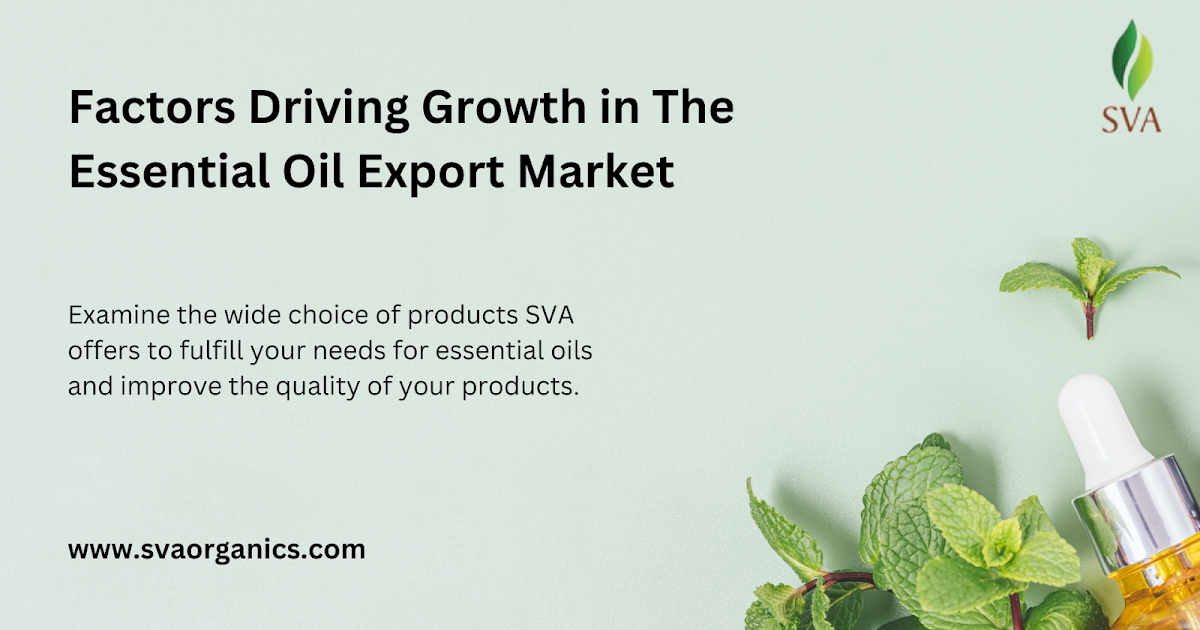 Factors Driving Growth in The Essential Oil Export Market