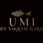 UMI By Vikram Grag Profile Picture