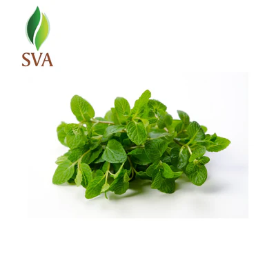 Svaorganics — Marketing Wholesale Essential Oils for Resale