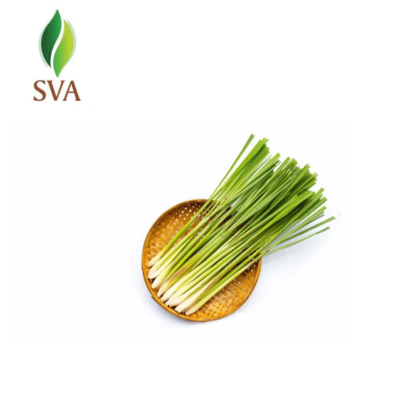 Svaorganics — Top Benefits of Partnering with a Lemongrass...