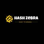 Hash Zebra Profile Picture