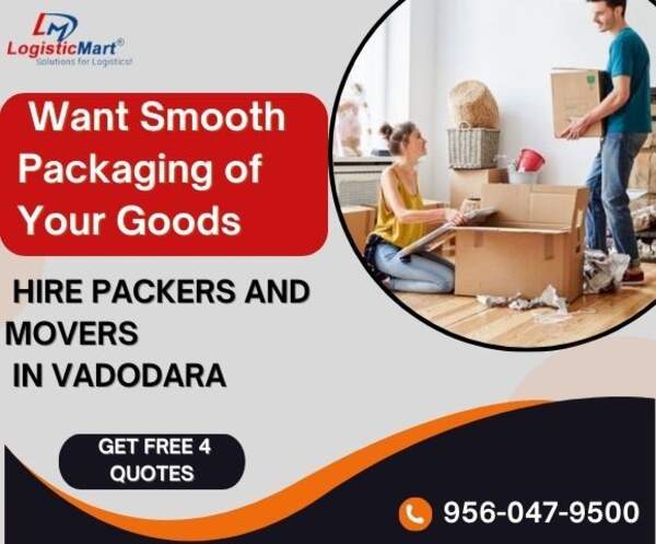 Types and Reasons to Use Safe Storage for a Move with Packers and Movers in Vadodara