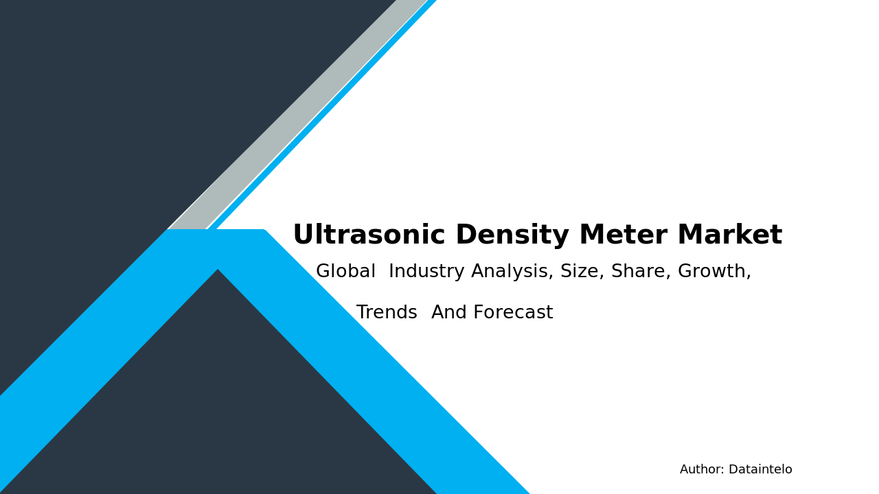 Ultrasonic Density Meter Market Research Report 2032