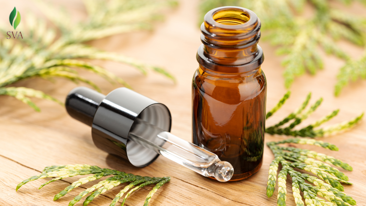 Why Partnering with a Reliable Carrier Oil Wholesaler Can Boost Your Business – SVA Organics