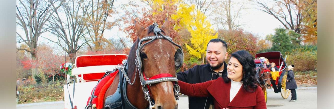 Central Park Carriage Tours Cover Image