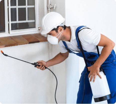 Termite Treatment Perth, Termite Exterminator Cost