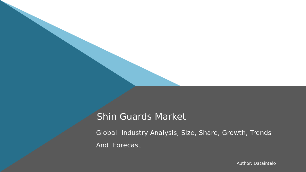 Shin Guards Market Research Report 2032