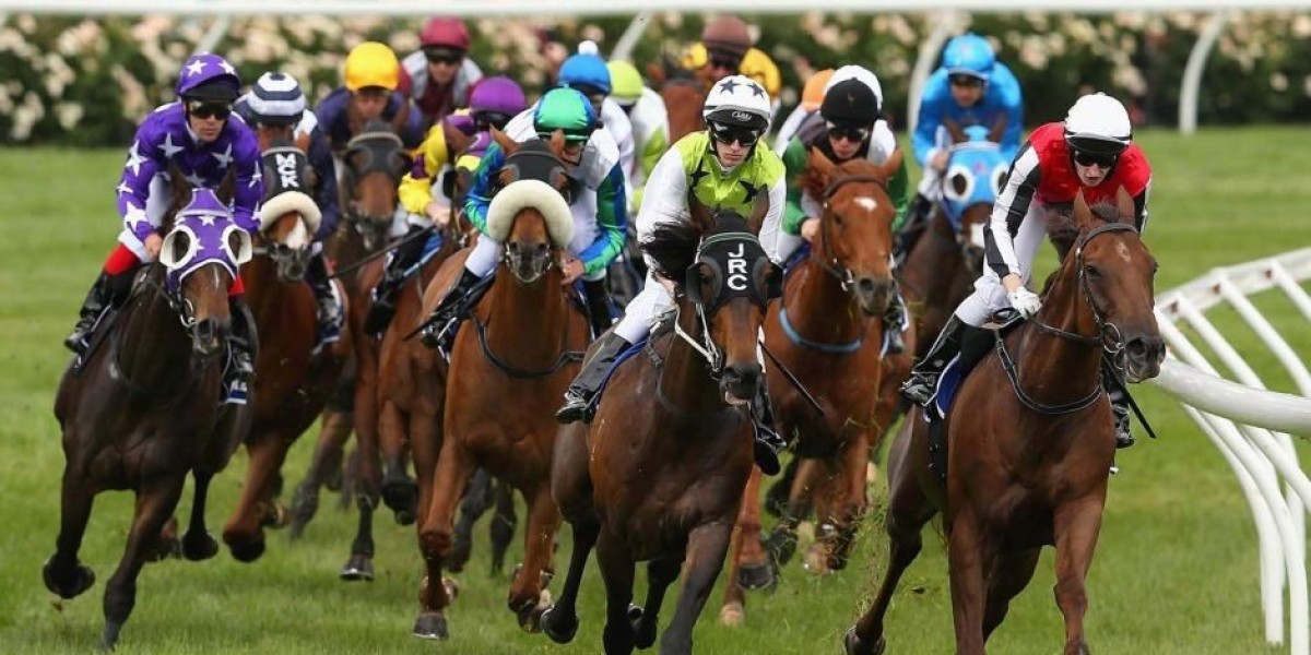 How to Spot the Best Betting Odds for Australian Horse Racing