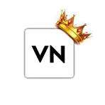 vn mod apk Profile Picture