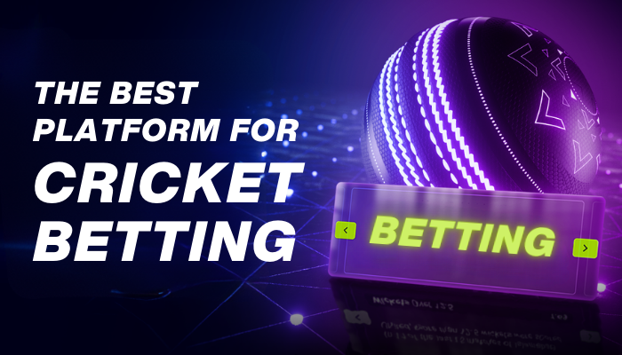 The Best platform for Cricket Betting | by Golden444 | Feb, 2025 | Medium