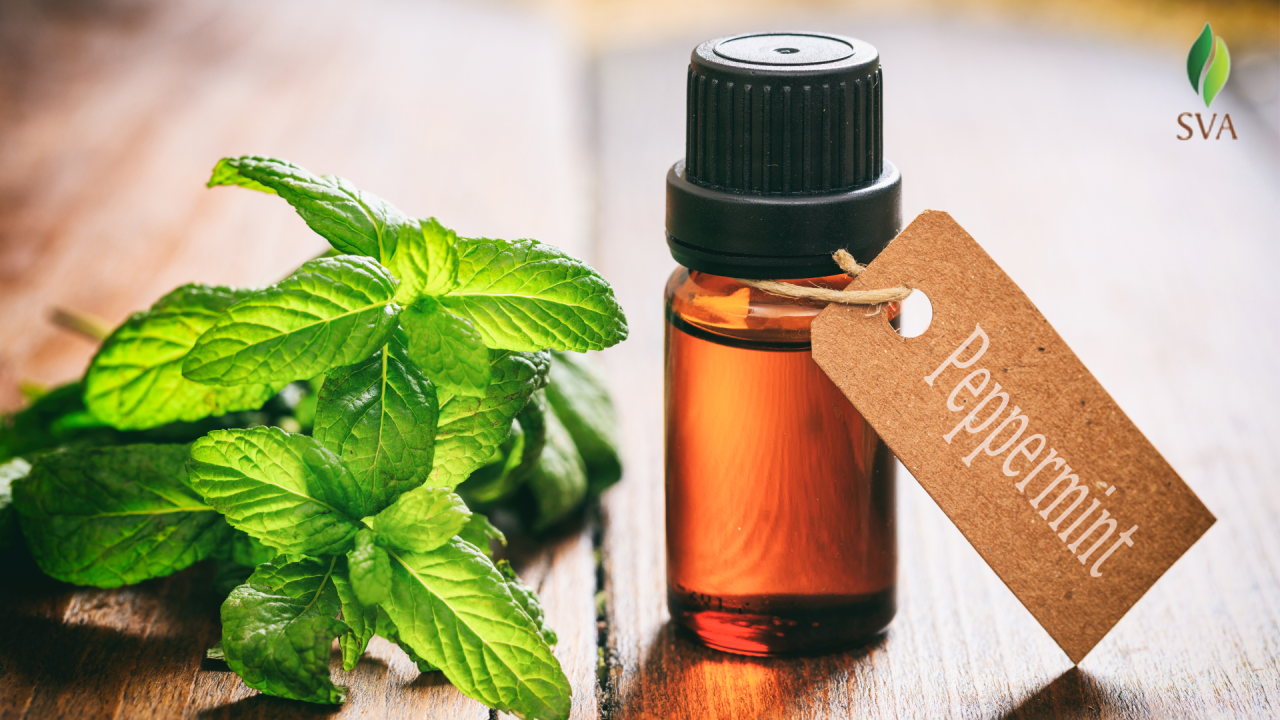 Svaorganics — Why Bulk Peppermint Oil is Perfect for Small-Batch...