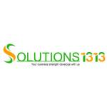 Solutions 1313 profile picture