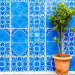 Moroccan Tiles Profile Picture